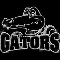 GLT32 SILVER GLITTER Thumbnail