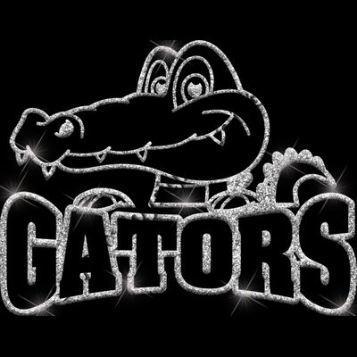 GLT32 SILVER GLITTER Thumbnail