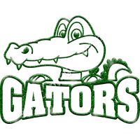 GLT32 GREEN GLITTER Thumbnail